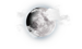 Weather icon